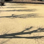 おばさんも歩けば風景に出会う