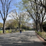 ディスカスの逍遥日誌