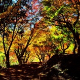 『2025『越畑ふるさと村』哀愁漂う風景❺ 岡山県苫田郡鏡野町』の画像