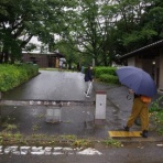 三毛ジャガーの物欲日記