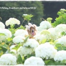 ★上は寂しかったけど｡｡｡♪★