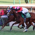ブラックチャリス（26/01/11・第42回 フェアリーステークス・中山競馬場）