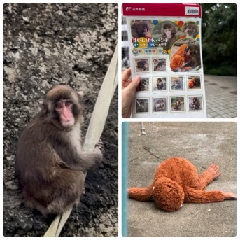 市川市動植物園へパンチくんに会いに&パンチくん切手を買うために長蛇の列に並んだ…