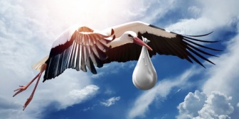 妻の生理が来ず。これはついに…？→結果は…