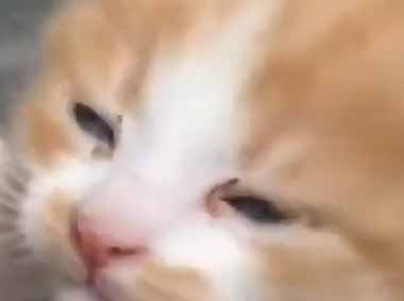 名前も知らない彼女によくご飯をご馳走していた。彼女には小さな子供がいた → うちで一緒に住むことになった…