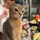 土鍋たけのこご飯と、たけのこづくしの夜ごはん