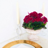 �ء���BEST��FLOWER��ARRENGEMENT��No.86�١ᤷ�äȤ꽩������AutumnFlower��ˤƾҲ𤵤�ޤ������ʥե�����ˡ٤β���