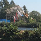 『4月4日、晴れ。』の画像