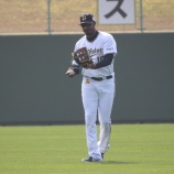 『エチェバリアのような…』の画像