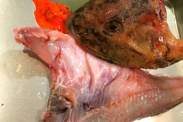 青木葉 Eatful Life カジカ鍋 青木葉 Eatful Life カジカ鍋