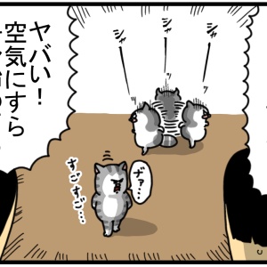 f7e18d9a.png