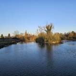 『AIの真骨頂は、実は効率化でも時短でもなく、コーチングにあると思う理由』の画像