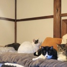 癒されパワーアップ⤴️