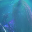 X JAPAN - ENDLESS RAIN (Live at NIPPON BUDOKAN ,1990)