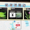 桶狭間の戦いの舞台で7SSB／愛知県豊明市移動