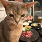 赤城牛の切り落としで、レタス鍋の夜ごはん