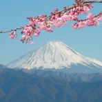 桜子先生の保育士試験合格メソッド