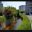 2025/08/10　お昼寝ばっかり。