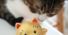 いつかの招き猫。