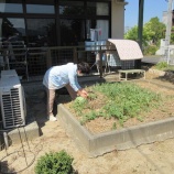 『夏の行事紹介（グループホームさくら荘）』の画像