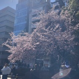 『痛風日記11日目。病は神様からのサインなのか？　vol.4352』の画像