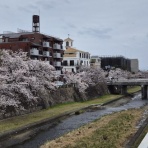 たぁなぁのカフェ日和