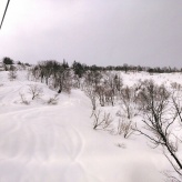 滑り初め、遅ればせながら( ̄― ̄٥) 2016/01/30