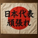 《日の丸に「日本代表頑張れ」と書き込んだら処罰される？》「国旗損壊罪」…国会参考人の教授が指摘する曖昧な線引き (江藤隆之氏)