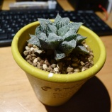 �إϥ���������٤β���