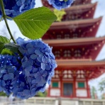 旅のあしあと