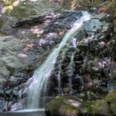 サクッと行く谷急沢ハイク(裏妙義山塊)