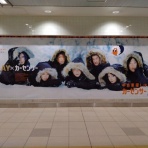 今日もダラダラ生きましょか(-　。-)。