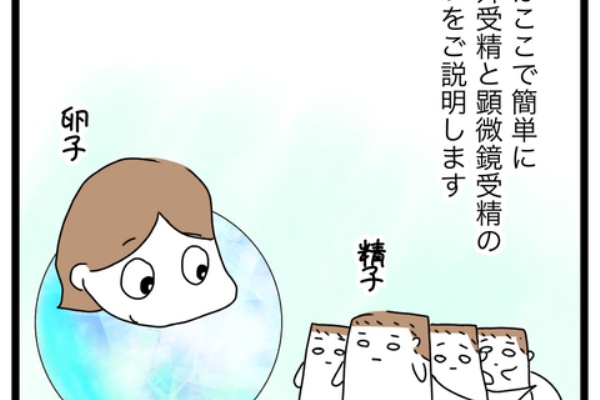 どんどん 日々是成長日記 不妊治療