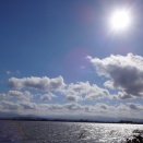 【カラーカード＆ブログ】1/23(金)　PEARL 【癒しのメッセージ】