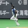 日ハムR.ロドリゲスはレアード曲線ありそう？