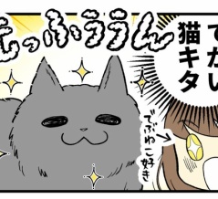病院で遭遇したデカ猫さんと猫マスターの話