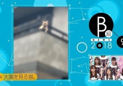 楽しみ過ぎるｗ 乃木坂工事中、1年ぶりの大園桃子ちゃんのネタがｸﾙ――(ﾟ∀ﾟ)――!!