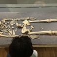 ぽよ旅☆2026年3月Darmstadt(ダームシュタット)-1日目午後/博物館(原始時代コーナー)-