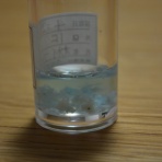 太志はミュージシャンⅡ