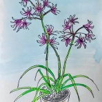 カズヨシのアトリエ