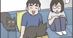 毎日が発見ネット掲載のお知らせ