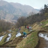 『千枚田　畦塗り』の画像