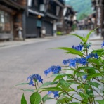 信州写真館　