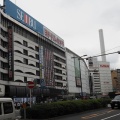 新塗色の253系と、おまけネタ