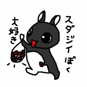 兎の王子ニューヨークへ行く 街中どんぐりだらけ 黒いうさぎのれおんくん