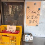 品川村村長ブログ。（公式）