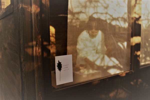 ひばりblog ちゃのわのかい