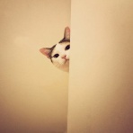 NIRVANAWAVE～波動で遊ぶブログ