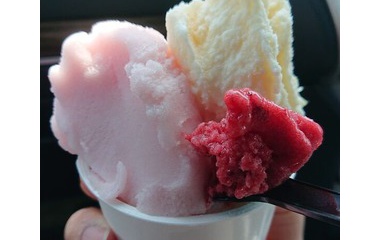 『ハコニワジェラート』の画像