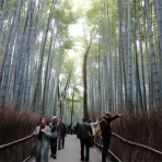 「藍川京」の部屋